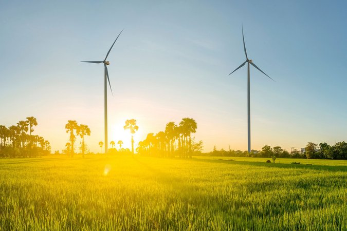 Vier Windräder stehen auf einer Wiese vor einem Waldrand. Zwischen ihnen geht die Sonne unter.