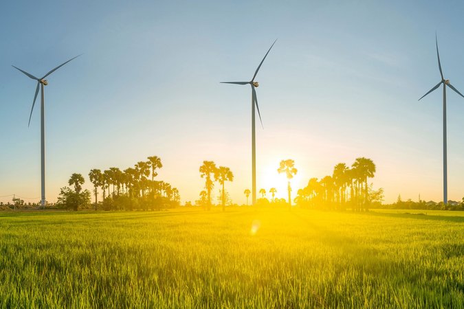 Vier Windräder stehen auf einer Wiese vor einem Waldrand. Zwischen ihnen geht die Sonne unter.