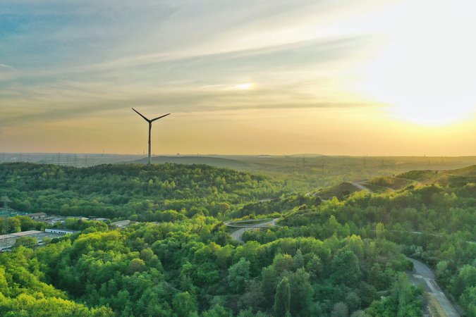 Vogelperspektive auf einen grünen Wald kurz vor Sonnenuntergang